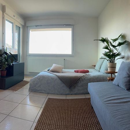 Jolie Vue Au Calme Apartment Evian-les-Bains Ngoại thất bức ảnh