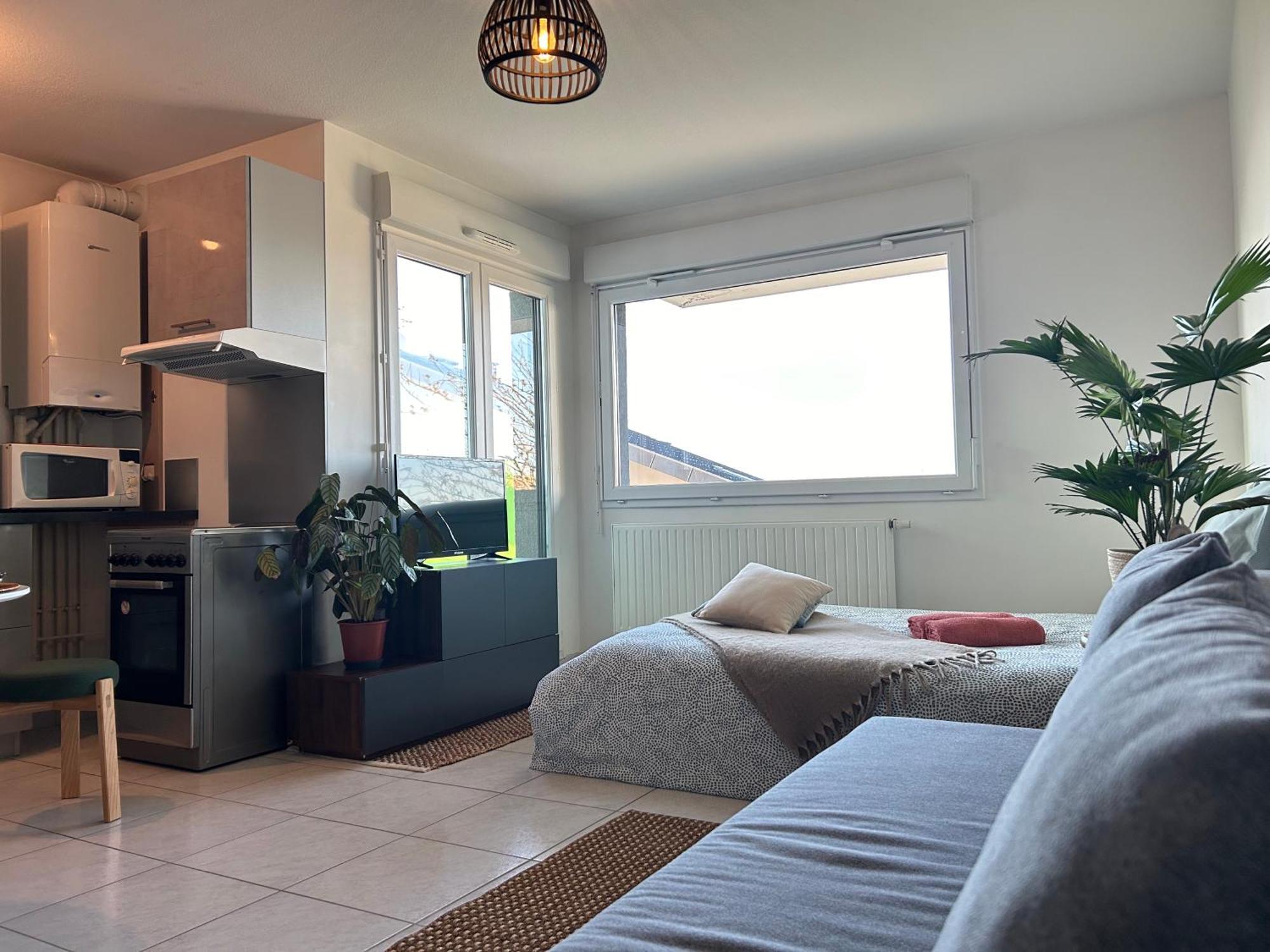 Jolie Vue Au Calme Apartment Evian-les-Bains Ngoại thất bức ảnh