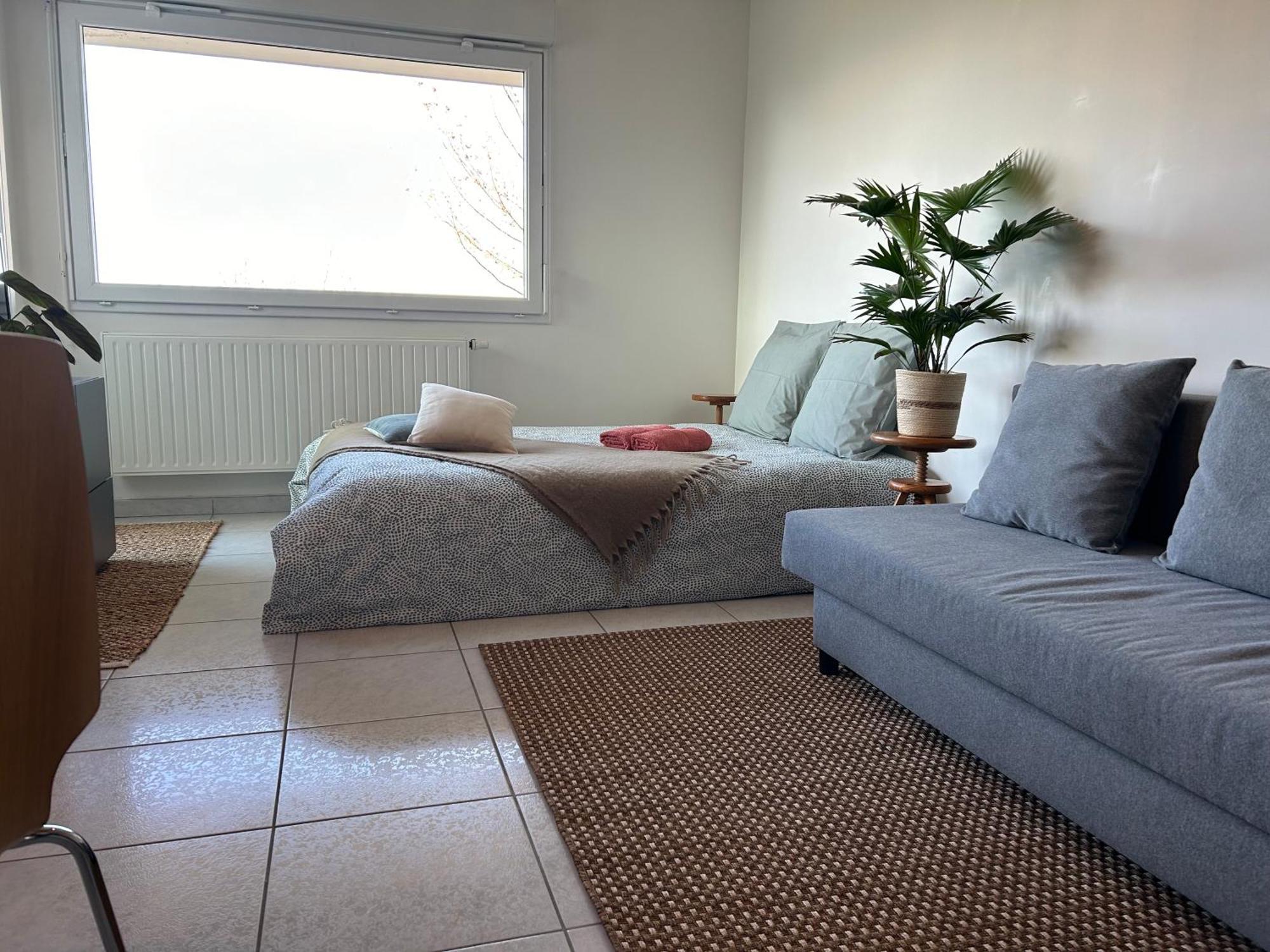 Jolie Vue Au Calme Apartment Evian-les-Bains Ngoại thất bức ảnh